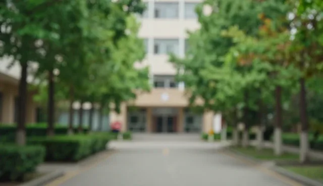 策划流程优化服务的检查要点与商务建议